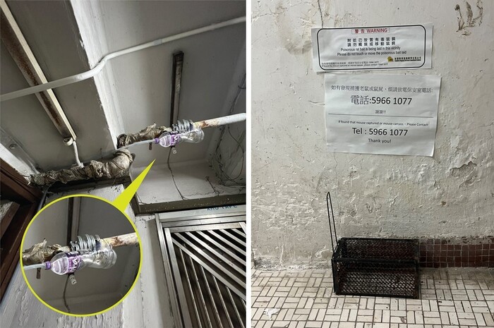 兼善里內常有大廈喉管損毀問題，此外，為紓緩鼠患，市建局委聘的物業管理公司於不同樓宇的樓梯及走廊放置捕鼠籠。